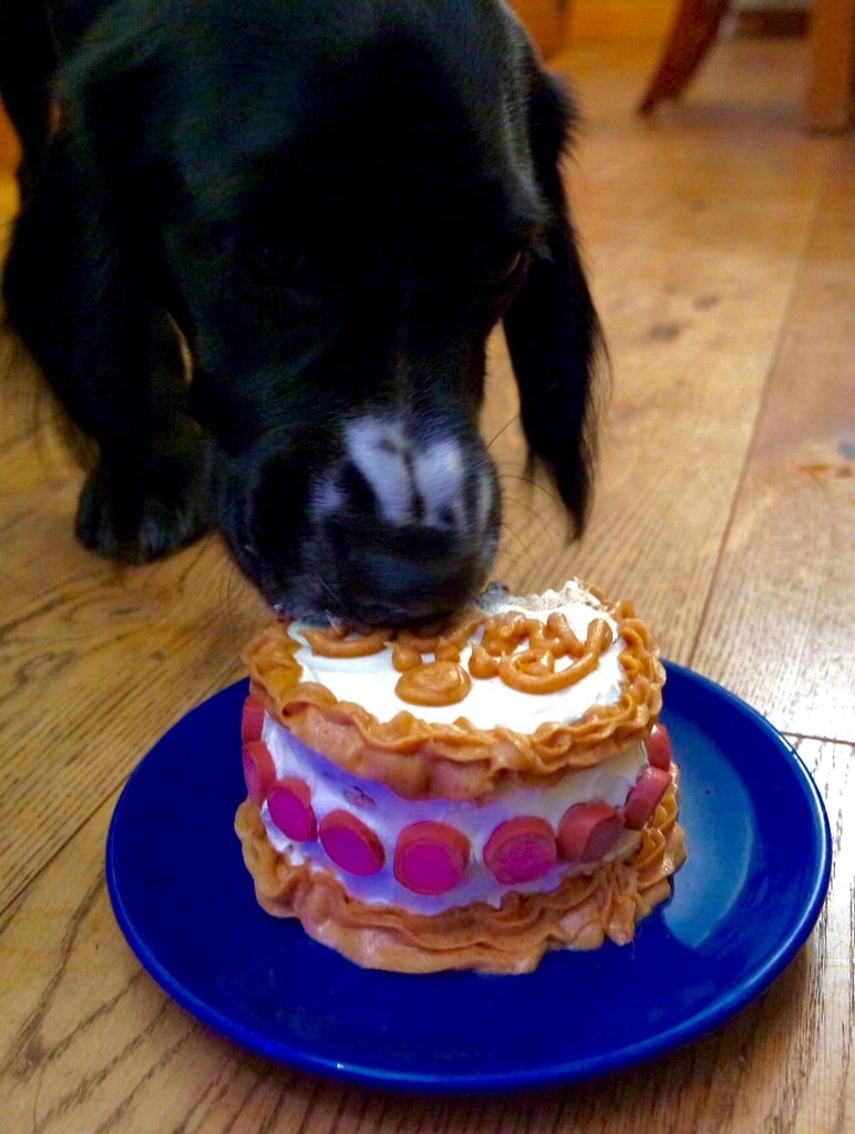 puppys first birthday cake
