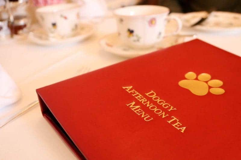 Doggy Afternoon Tea at Egerton House Hotel
